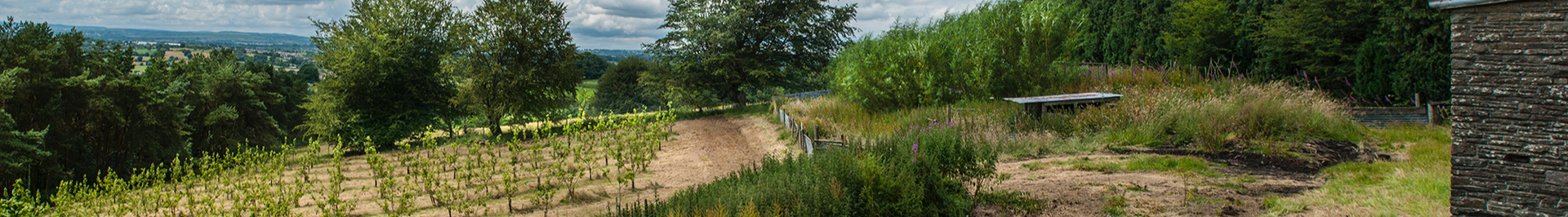 View from Blaengawney Farm