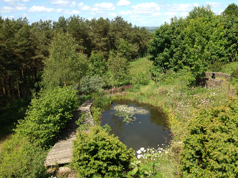Pond at Blaengawney Farm holiday house